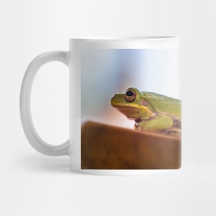 Hyla squirella Mug